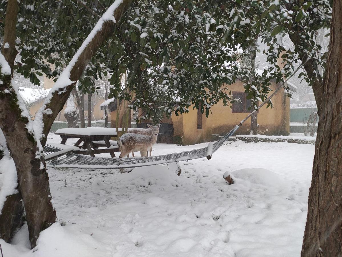 Polonezkoey Country Club & In The Wildlife Park! 3* Provincia di Istanbul